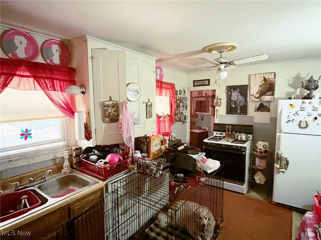221 Mulberry Street