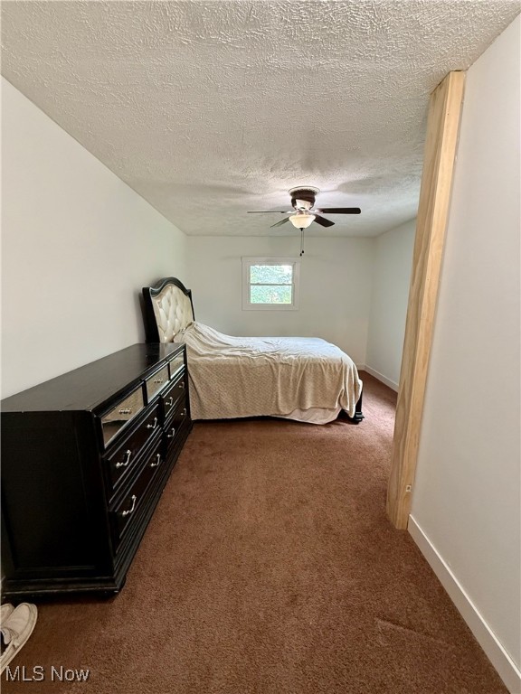 481 Steubenville Road, Carrollton, Ohio image 29
