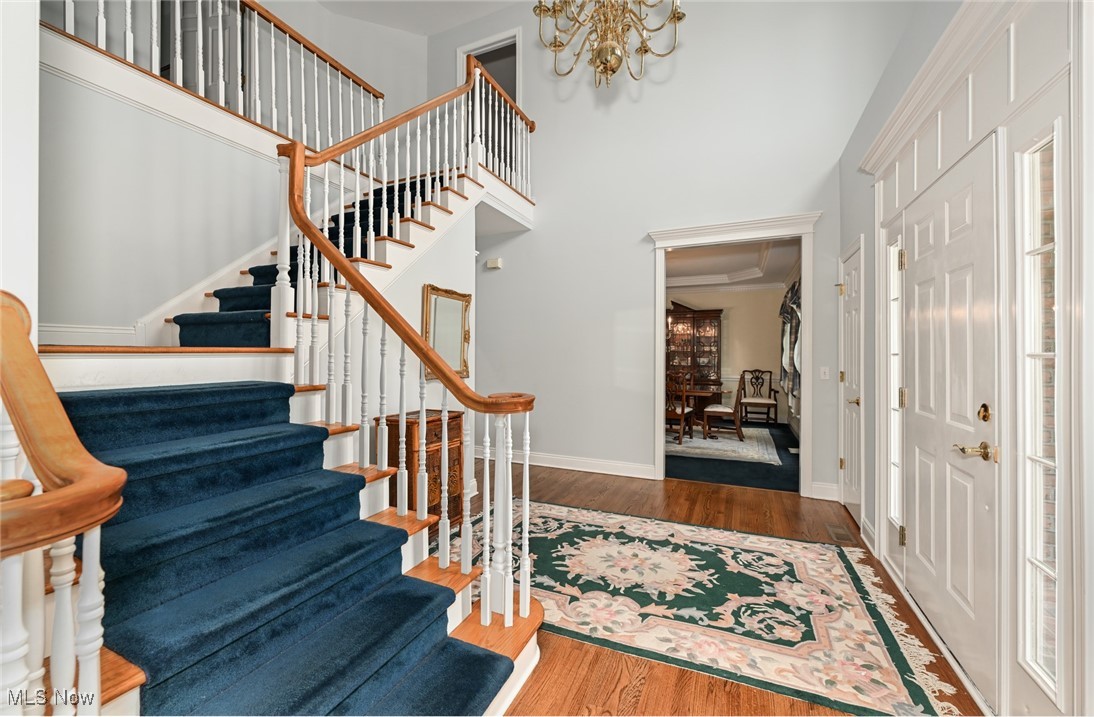 304 Fox Way
