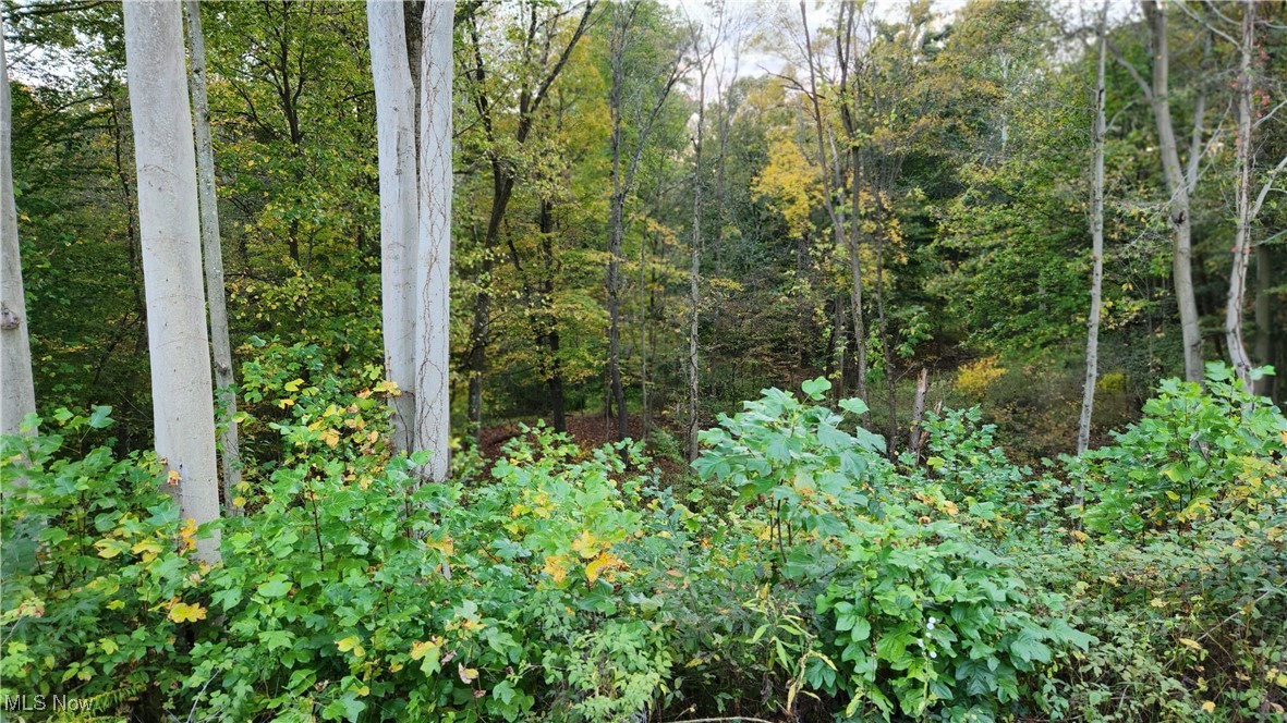 Reserve/Eagle Crk - Residential