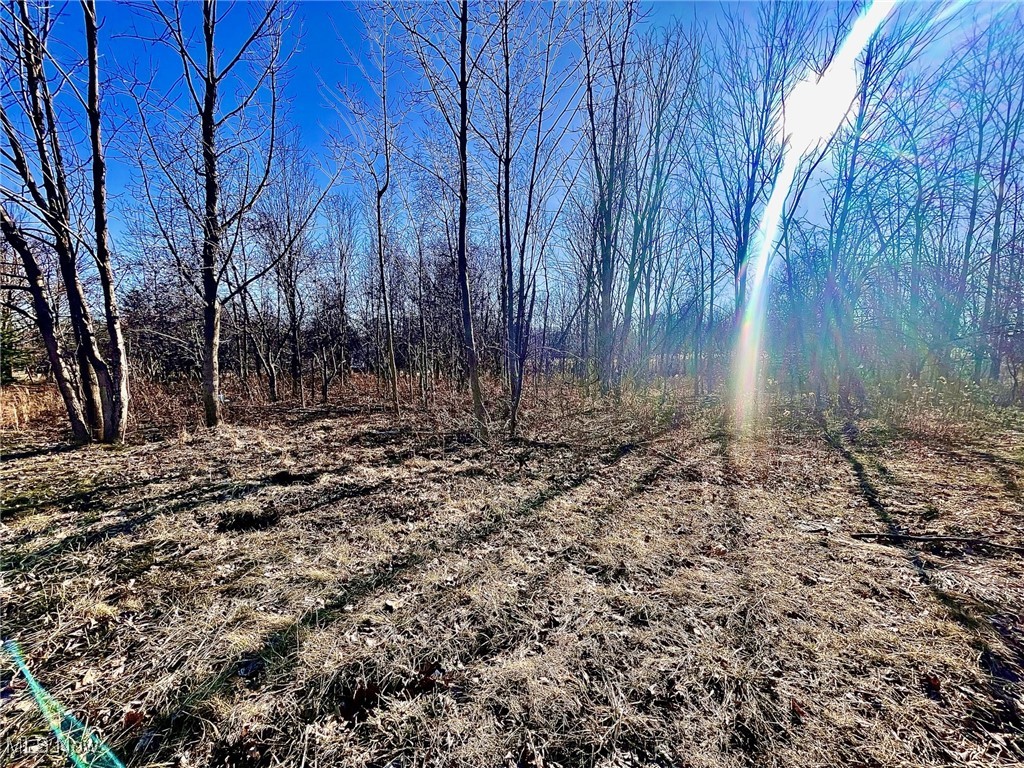 E Wallings Road, Broadview Heights, Ohio image 3