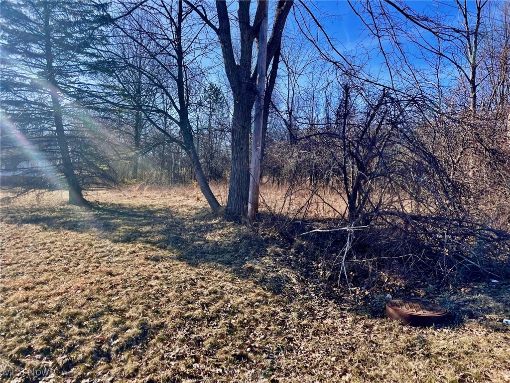 E Wallings Road, Broadview Heights, Ohio image 4