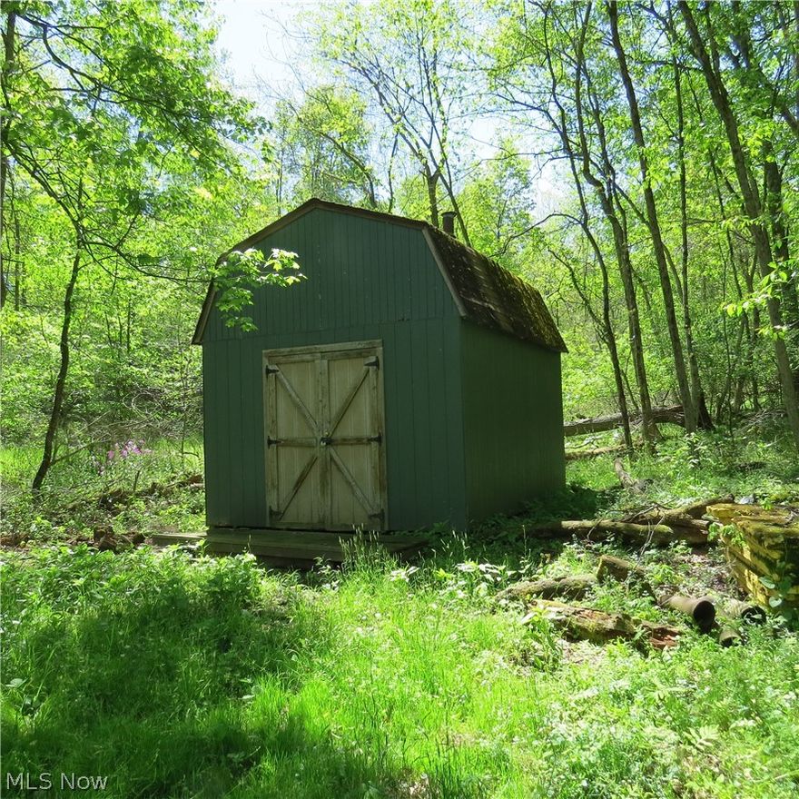 Wooded 6-Acre Tract in Carroll County, Ohio! Nice country property located on a township road with good, accessible frontage. This would make a great get-away, nature, hunting, or building tract. Abundant wildlife in the area and little traffic to contend with. Peaceful setting with privacy here. There's a storage barn included and a gravel base drive installed years ago. Deed restrictions apply and minerals do not transfer. Call with questions or to walk the property.