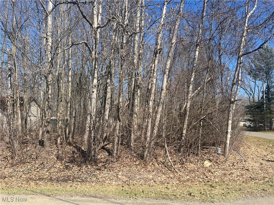 Build Your Dream Retreat in Ohio's Wine Country!
Welcome to a stunning oasis featuring the largest private lake in Ohio! This property offers luxurious living with heated swimming pools, sandy beaches, and a wealth of recreational activities. Enjoy tennis, volleyball, and pickleball courts, along with boating, water skiing, and fishing right at your doorstep.  Private marina with paved boat launching ramp, dock rental, boat storage and service.
Join vibrant social clubs and unwind at the Lake front restaurant and bar all while being nestled in the heart of Ohio's renowned wine country and just a short drive from picturesque golf courses and the shores of Lake Erie. 
Don’t miss this rare opportunity to embrace a lifestyle of leisure and luxury—your perfect home awaits! Schedule a viewing today and experience serene lakeside living like never before!