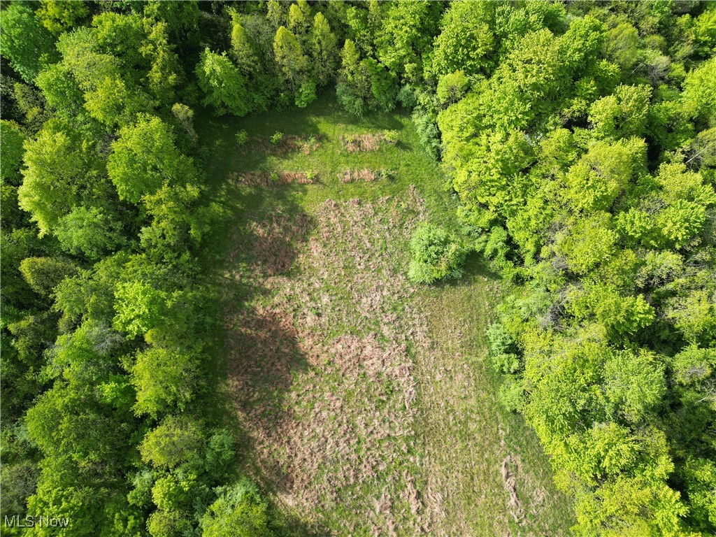 Layman Road, Vincent, Ohio image 13
