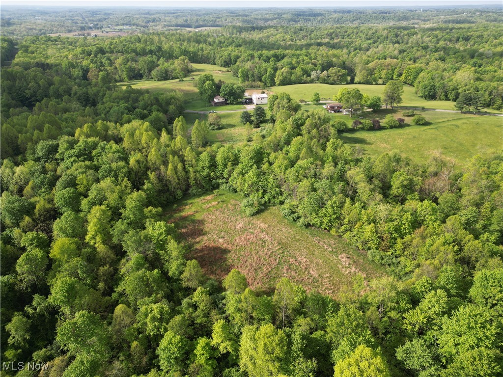 Layman Road, Vincent, Ohio image 12