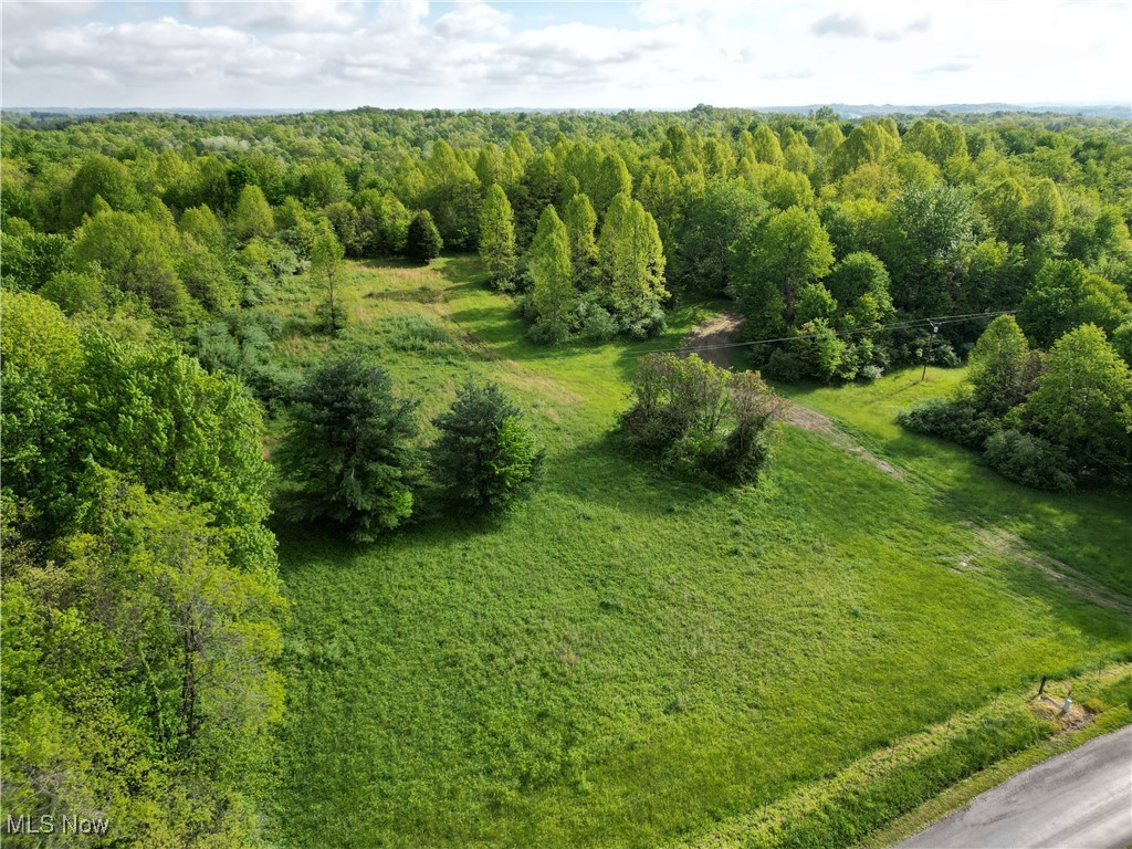 Layman Road, Vincent, Ohio image 4