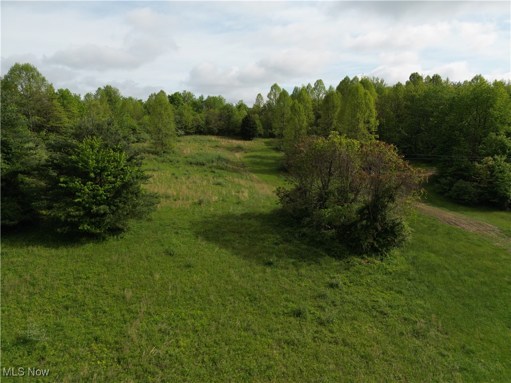 Layman Road, Vincent, Ohio image 14