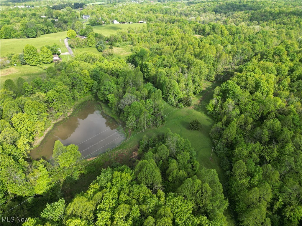 Layman Road, Vincent, Ohio image 9