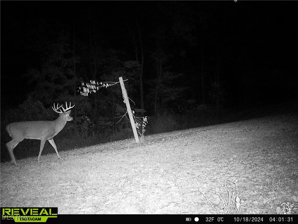 Layman Road, Vincent, Ohio image 18