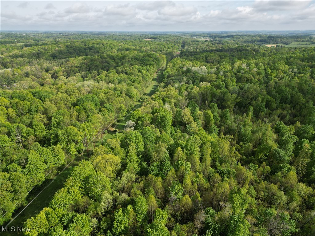 Layman Road, Vincent, Ohio image 10