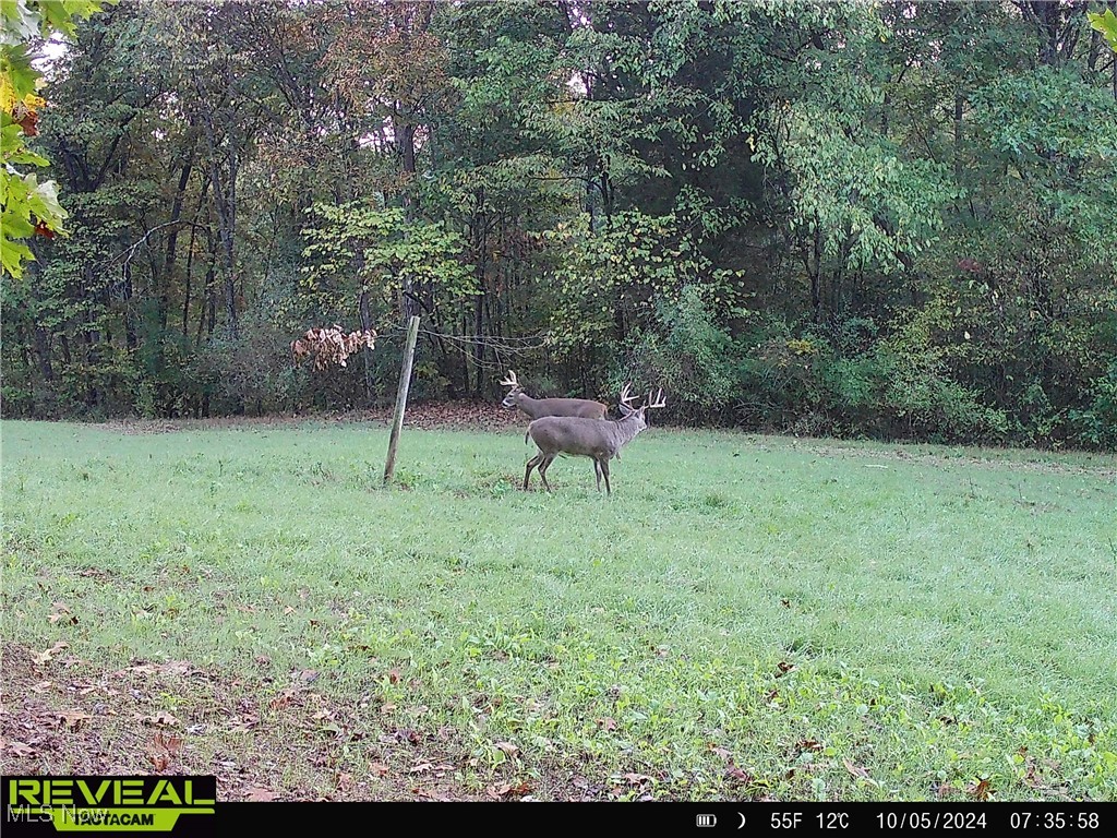 Layman Road, Vincent, Ohio image 19