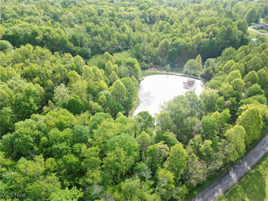 Layman Road, Vincent, Ohio image 6