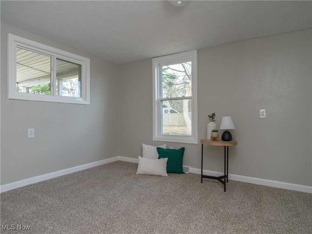 3205 Dewalt Drive, Akron, Ohio image 13