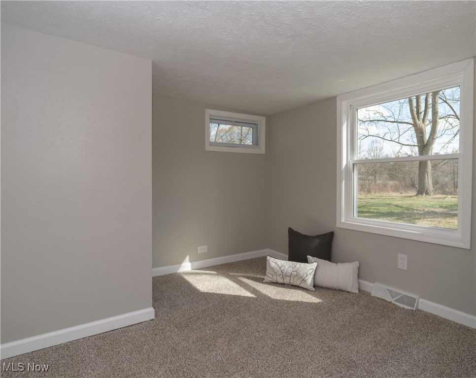 3205 Dewalt Drive, Akron, Ohio image 12