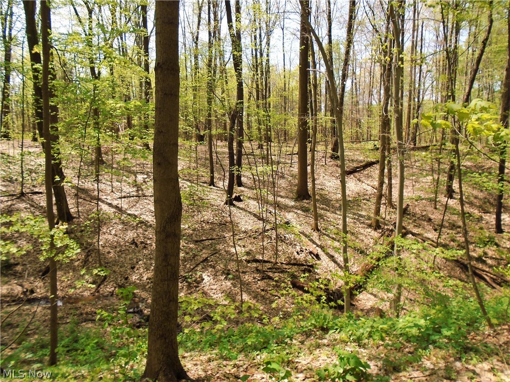 Mccallum - Residential