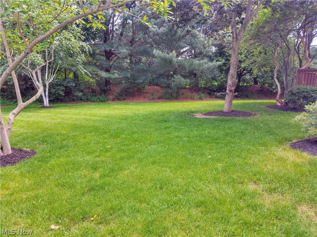 Beacon Hill - Residential