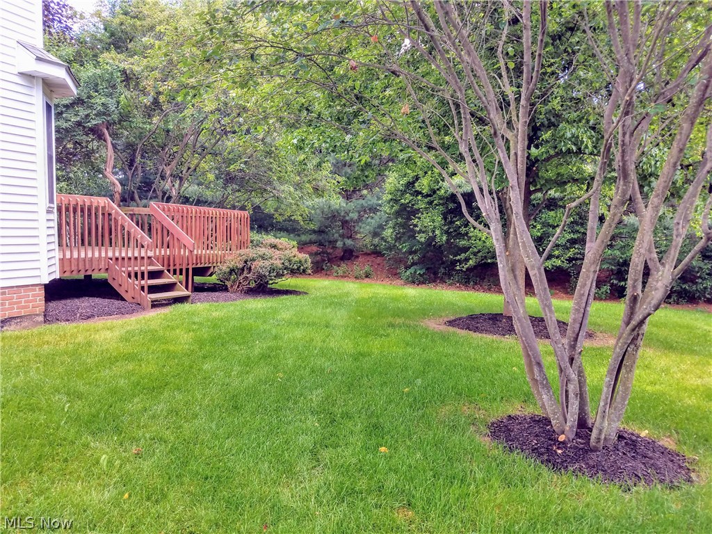 Beacon Hill - Residential