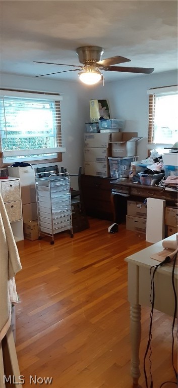 Skyline Park 02 - Residential