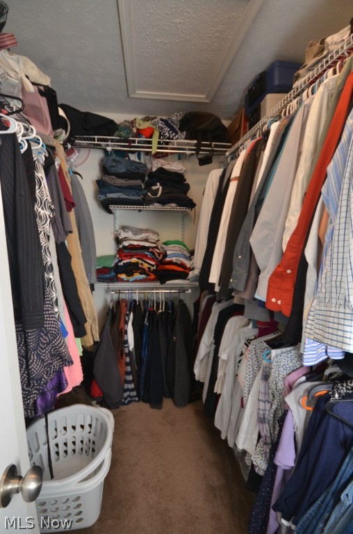 Sterling Green Allotment Ph 01 - Residential