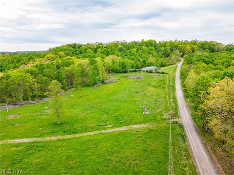 Vacant Land For Sale - 37795 Sheep Skin Ridge Rd<br/> Lower Salem, OH 45745