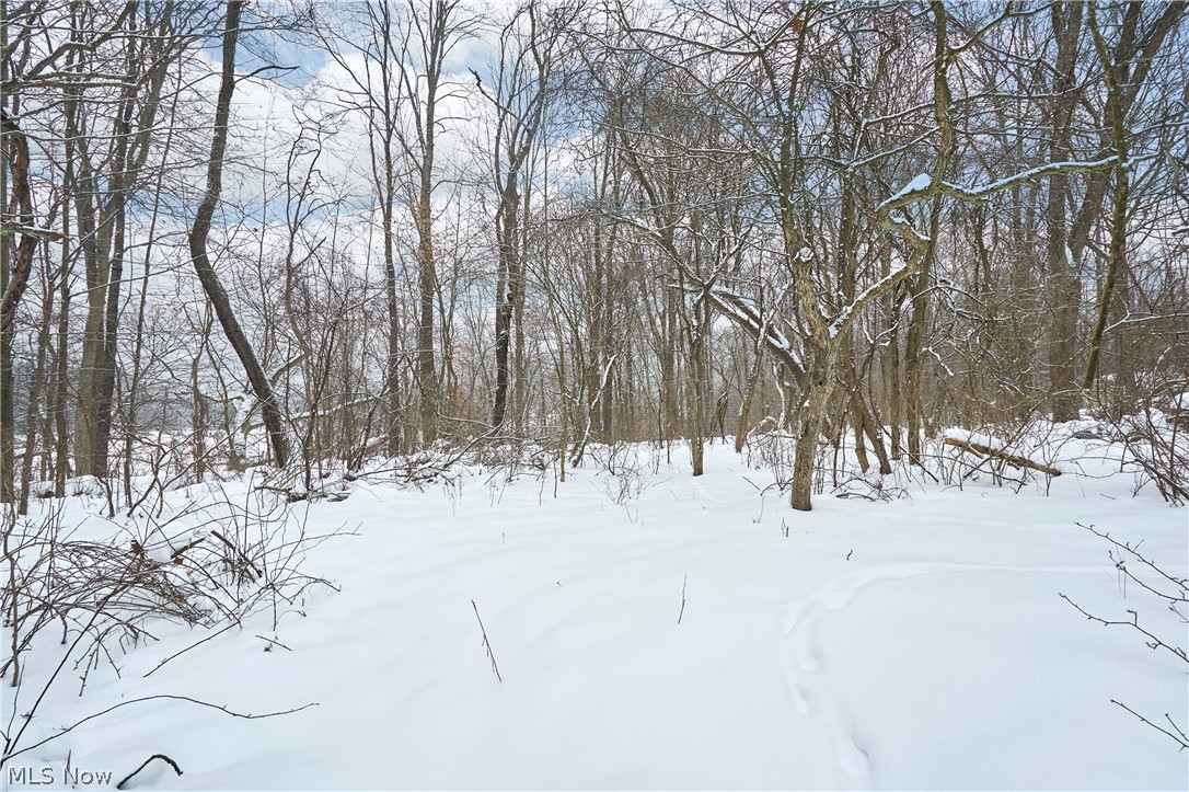 Deer Lawn Farms - Land