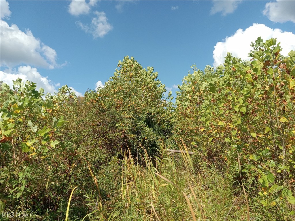 Brohard Road, Jackson, Ohio image 16