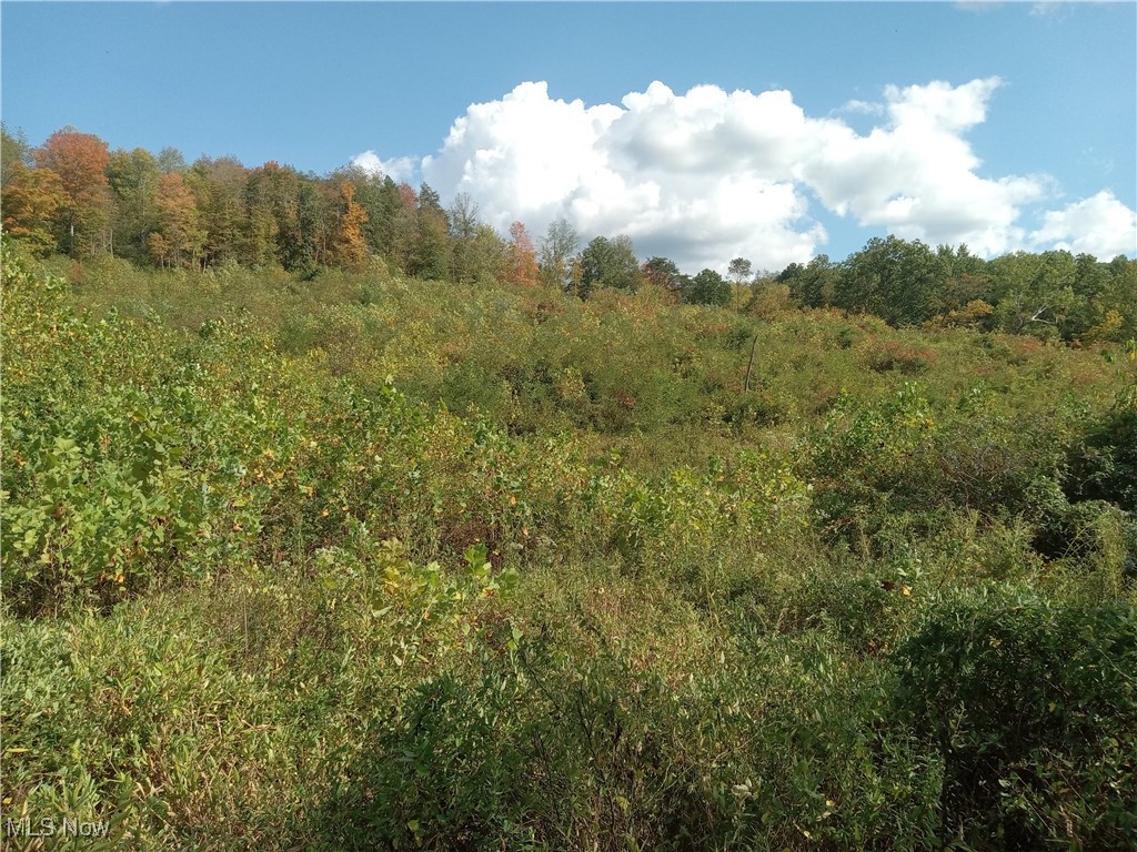 Brohard Road, Jackson, Ohio image 17