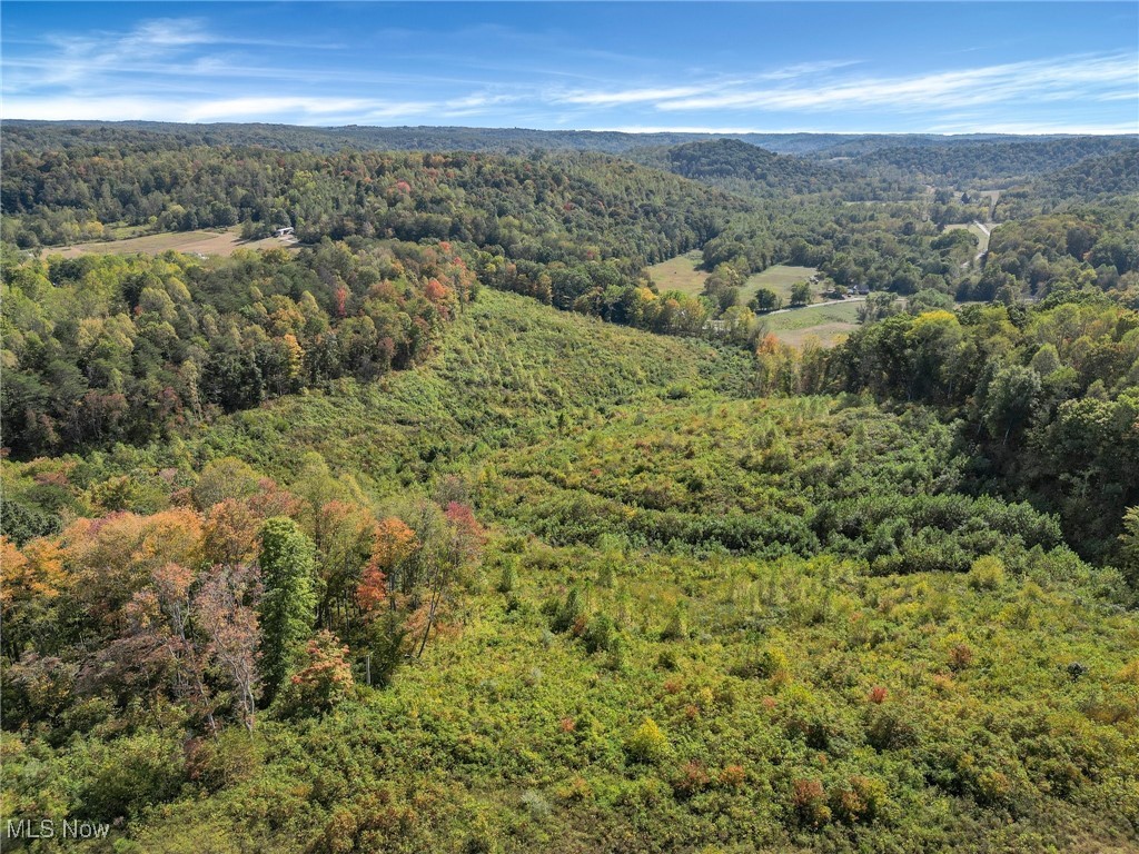 Brohard Road, Jackson, Ohio image 6