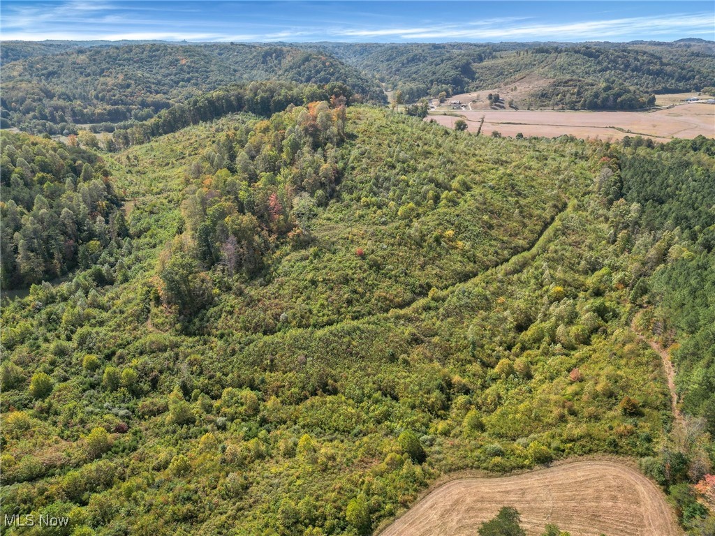 Brohard Road, Jackson, Ohio image 7