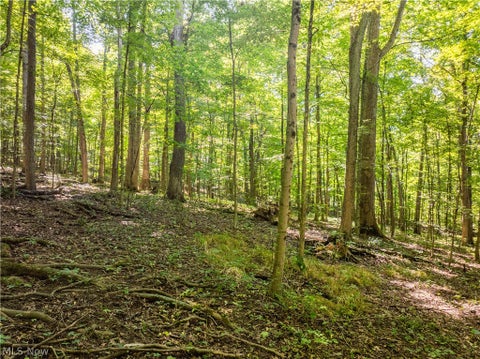 Tiny photo for 29556 Township Road 209, Coshocton, OH 43812 (MLS # 5246830)
