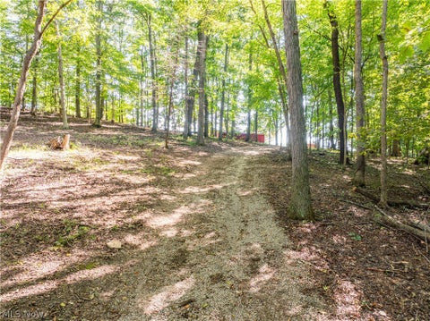 Tiny photo for 29556 Township Road 209, Coshocton, OH 43812 (MLS # 5246830)