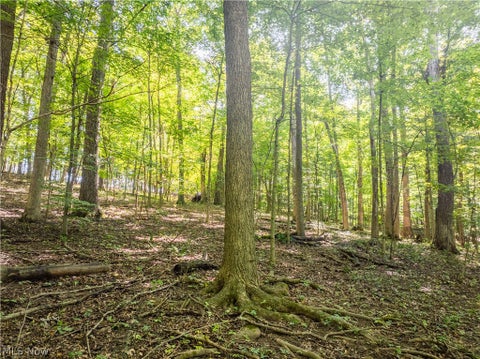 Tiny photo for 29556 Township Road 209, Coshocton, OH 43812 (MLS # 5246830)