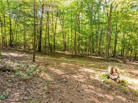 Tiny photo for 29556 Township Road 209, Coshocton, OH 43812 (MLS # 5246830)