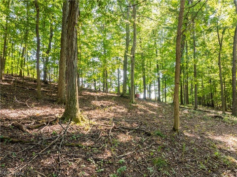 Tiny photo for 29556 Township Road 209, Coshocton, OH 43812 (MLS # 5246830)