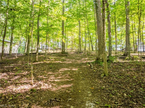 Tiny photo for 29556 Township Road 209, Coshocton, OH 43812 (MLS # 5246830)