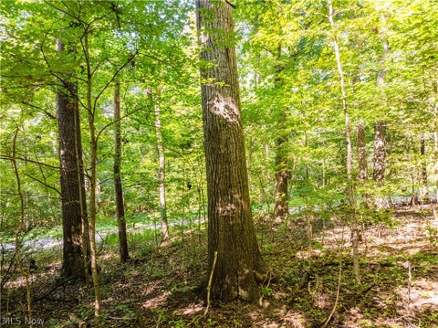 Tiny photo for 29556 Township Road 209, Coshocton, OH 43812 (MLS # 5246830)
