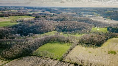 Tiny photo for 7641 Township Road 462, Loudonville, OH 44842 (MLS # 5203593)