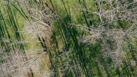 Tiny photo for 7641 Township Road 462, Loudonville, OH 44842 (MLS # 5203593)