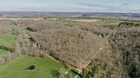 Photo of 7641 Township Road 462, Loudonville, OH 44842 (MLS # 5203593)
