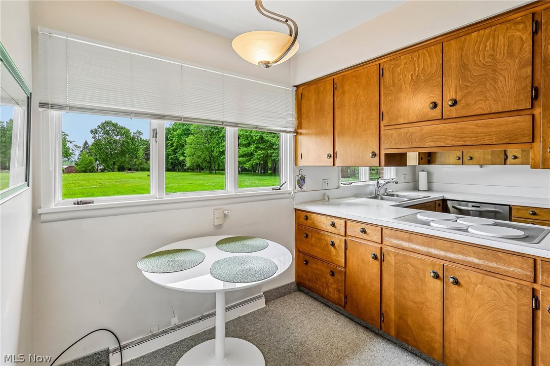 Druid Hills Acres - Residential