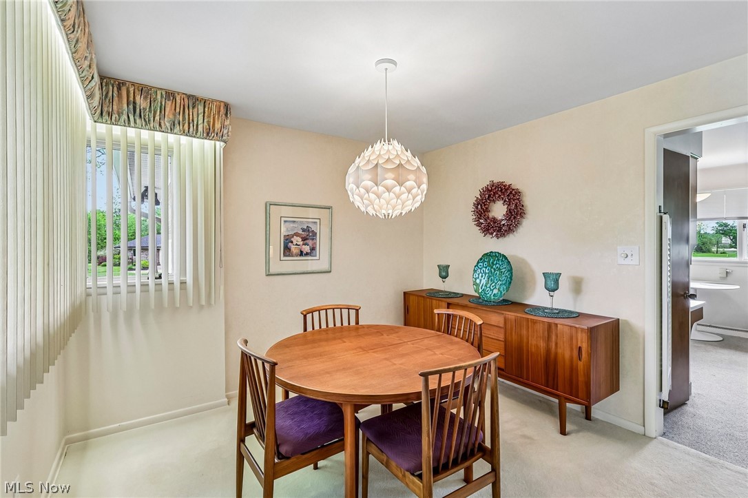 Druid Hills Acres - Residential