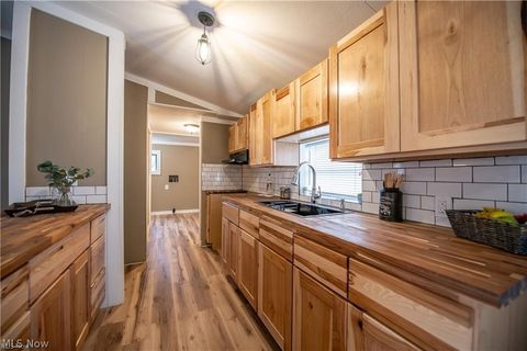 Tiny photo for 806 S Grant Boulevard, Minerva, OH 44657 (MLS # 5187642)