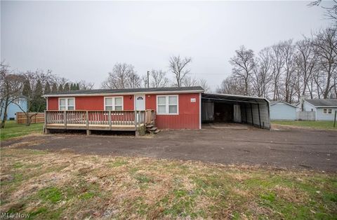 Photo of 806 S Grant Boulevard, Minerva, OH 44657 (MLS # 5187642)