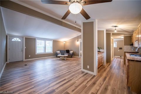 Tiny photo for 806 S Grant Boulevard, Minerva, OH 44657 (MLS # 5187642)