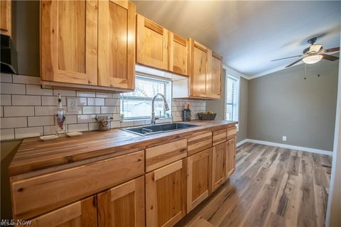 Tiny photo for 806 S Grant Boulevard, Minerva, OH 44657 (MLS # 5187642)