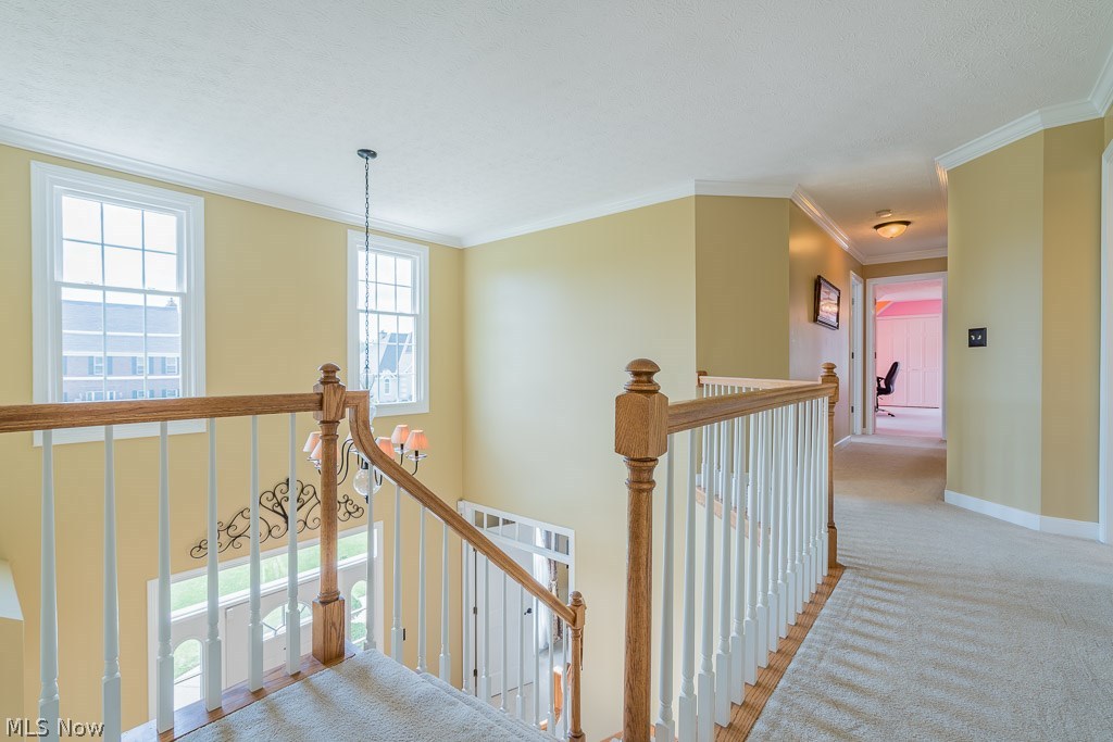 Marblehead Estate #2 - Residential