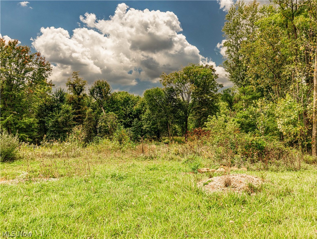 Wyoga Lake Park - Land