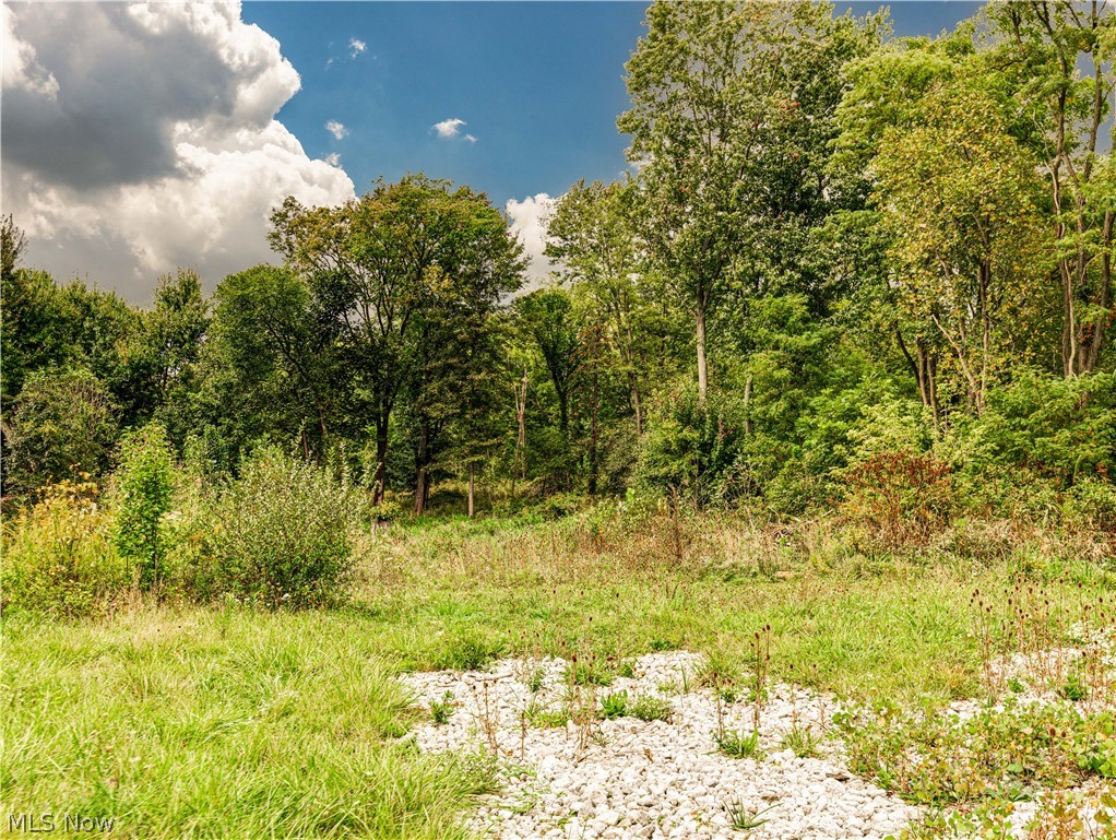 Wyoga Lake Park - Land