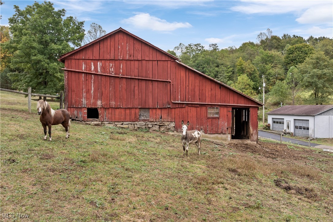 8817 Cement Bridge Road, Dundee, Ohio image 41